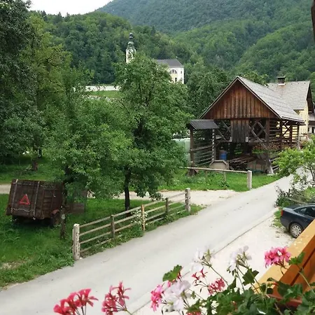 Apartma Momo * Bohinj