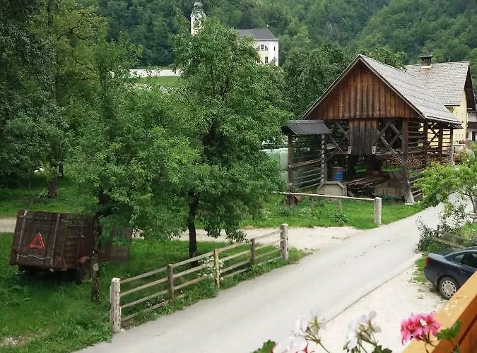 Apartma Momo * Bohinj